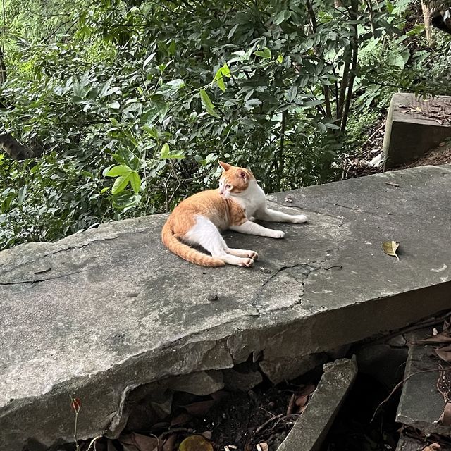 Baiyun Mountain Park in Guangzhou