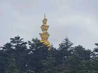 Emei Mountain's Treasure! 🇨🇳