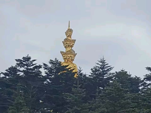 Emei Mountain's Treasure! 🇨🇳 Emei Mountain's Treasure! 🇨🇳
