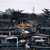 Southernmost Capital of China | Haikou 