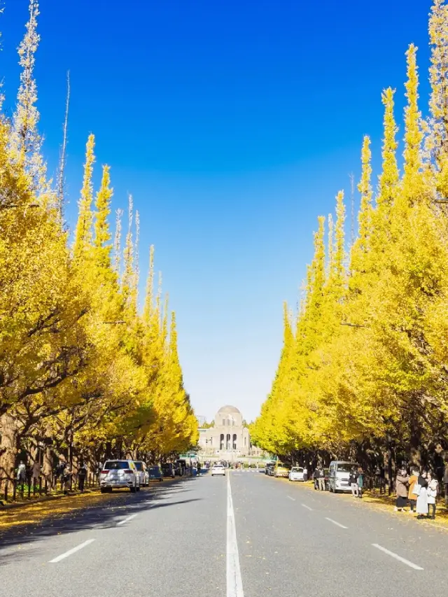 Ginkgo Avenue of Tokyo Jingu Gaien: A golden autumn feast awaits you