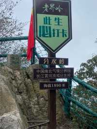 河南老界嶺/萬畝彩林太震撼了，一定要來感受這裡的秋色大餐！
