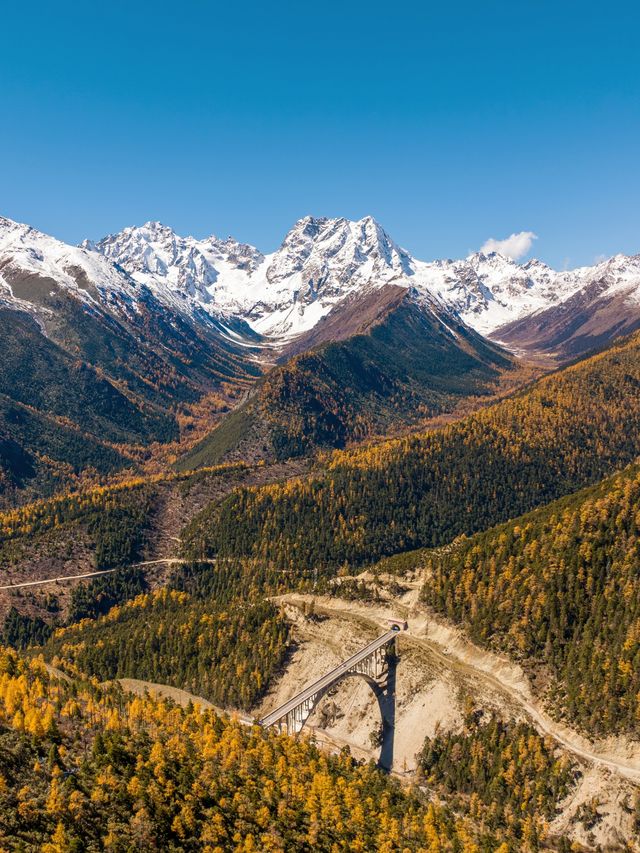 白馬雪山的秋 風是自由的 你也是