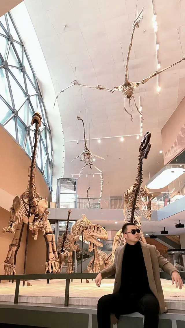 Take your husband to visit the Shanghai Natural History Museum~ A paradise for every dinosaur fan