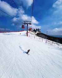 承德的新興滑雪熱點：金山嶺滑雪場