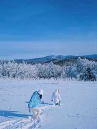 這個冬天總要去趟北國冰城看雪吧！