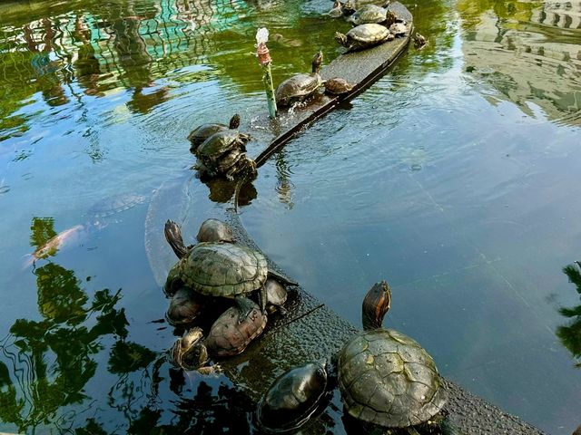 海濱城市