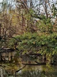 【多彩貴州·花溪公園】“十里河灘”最靚處