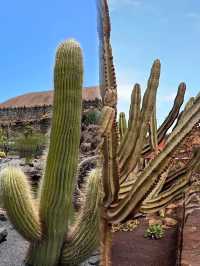 西班牙異世界Lanzarote火山和海相愛的地方