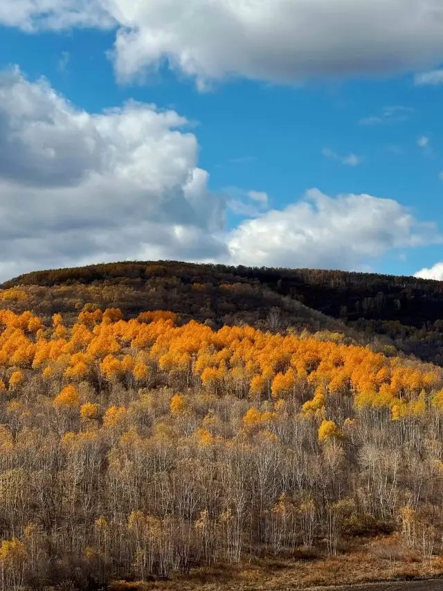 Before I went to Inner Mongolia, I thought Xinjiang was already very beautiful