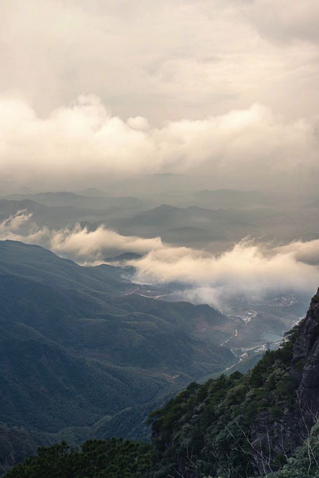 被武功山的雲海美翻了