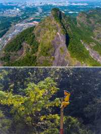 蘇軾徐霞客讚嘆的｜廣西楊貴妃家鄉名山都嶢山