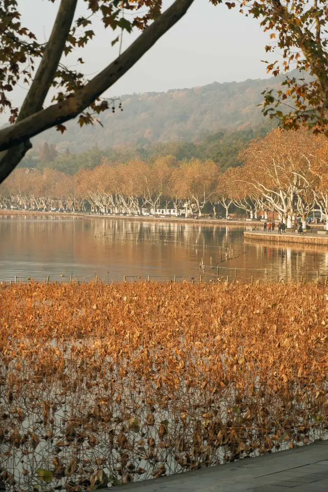 Promise me, you will come to see the sunrise at West Lake in winter