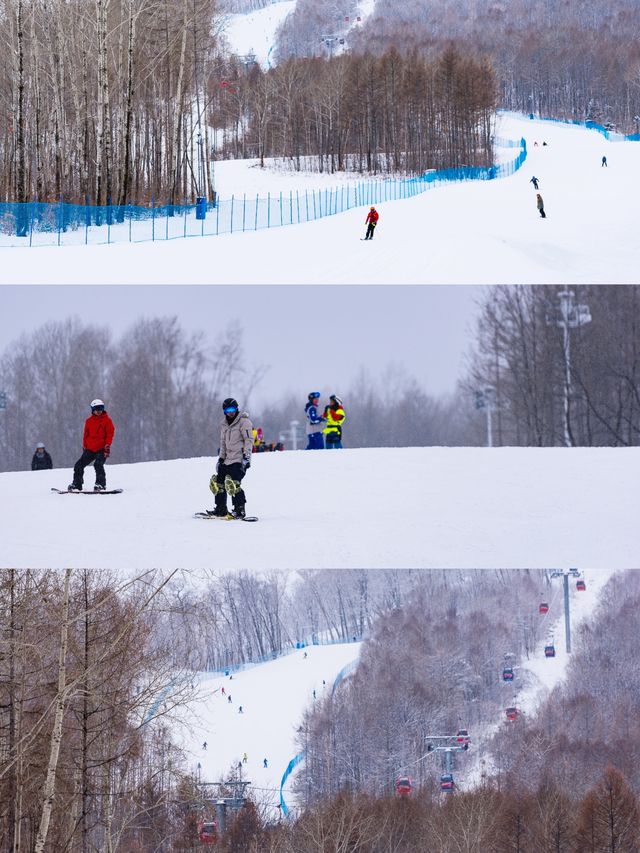 長白山3日，滑雪、溫泉、度假，在長白的高山密林間