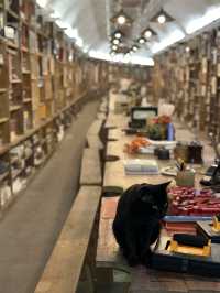 重慶軍哥書屋