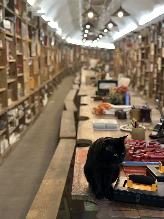 重慶軍哥書屋