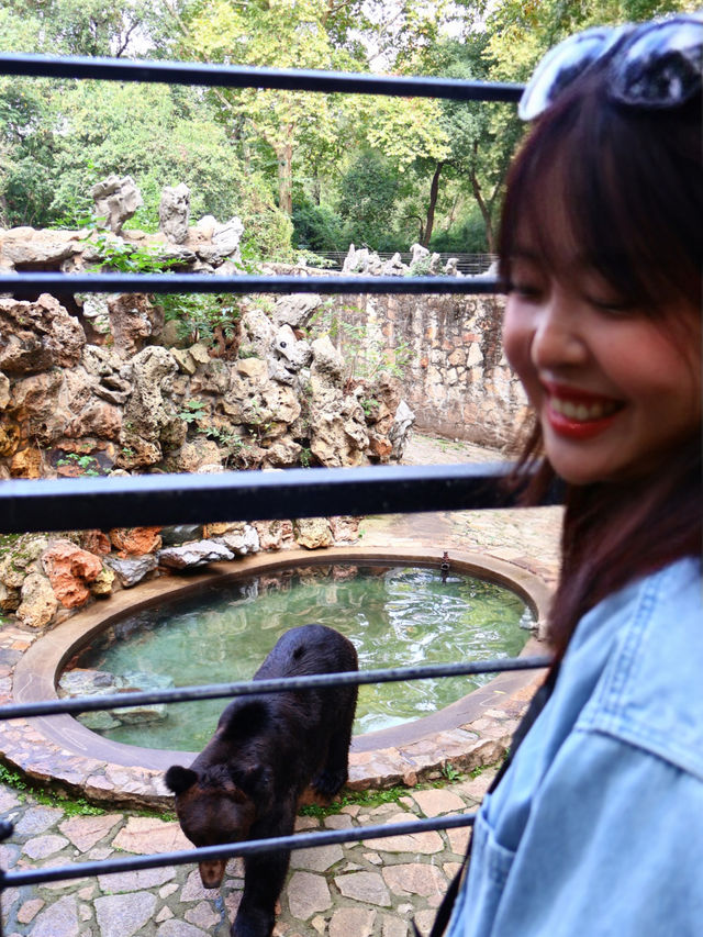 上海動物園｜這裡允許你童心未泯