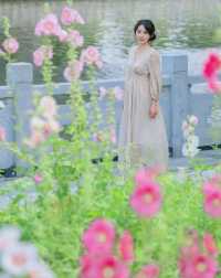 上海之魚花海