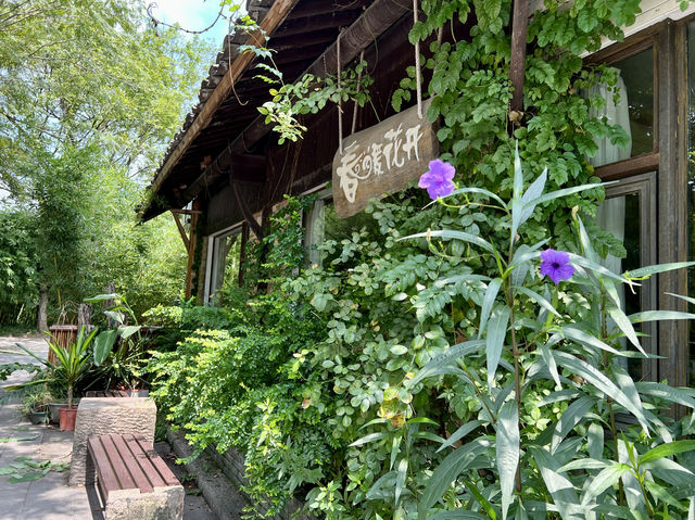 西溪濕地如何遊可免門票？