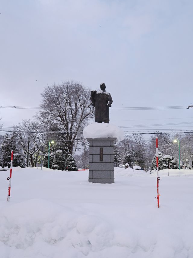 來旭川常磐公園必知的5件事！