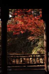 金陵秋色，來自棲霞山的滿山楓紅