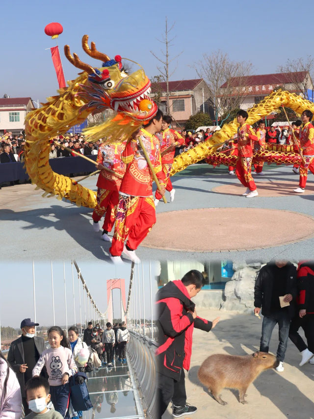 “東坡廟會·回家過年”迎春嘉年華在鄂東動物王國上演！