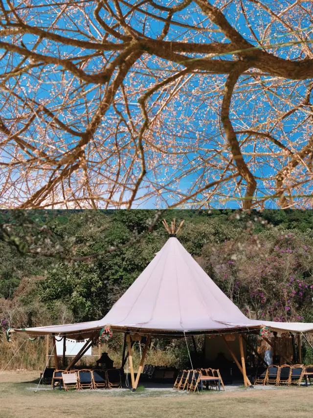 In Huizhou! Camping in the countryside for healing! Will come again next time!!