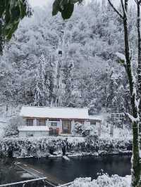 我在這裡看到了大雪紛飛這裡雪超厚