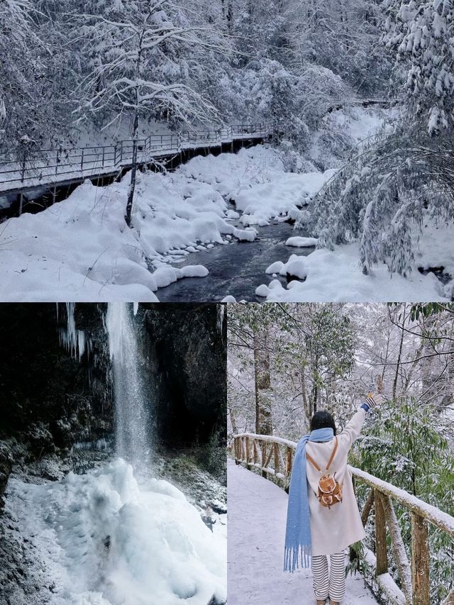 這裡不是東北，是雅安龍蒼溝｜成都2h雪國森林