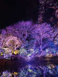 惠山古鎮 龍年吉祥