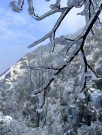 郴州之行，與霧凇雪景共度冬日仙境之旅