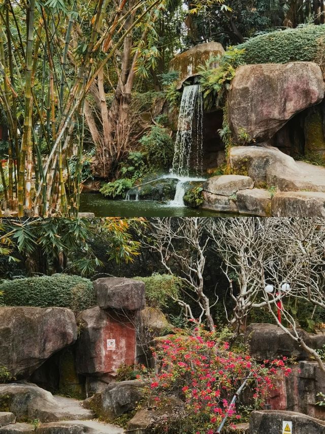 中山小榄鳳山公園,承載著幾代人的青春回憶 中山小榄鳳山公園,承載著幾代人的青春回憶