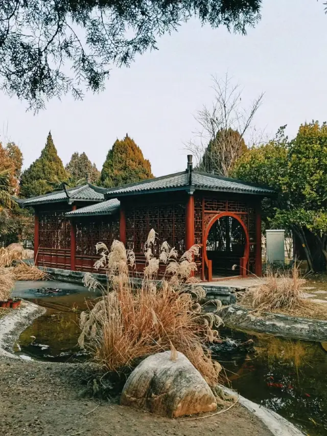 개봉|항료영웅 양업부택