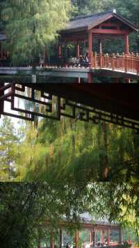彩雲湖公園 感受綠野仙蹤般的浪漫