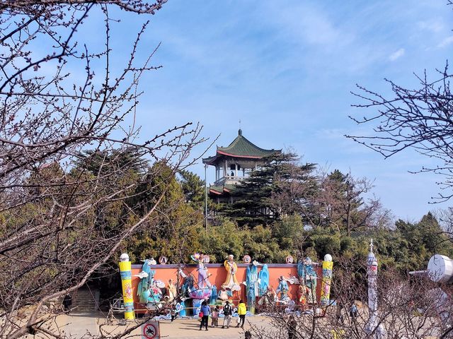 3月16日，南山公園裡找春天