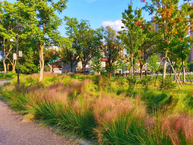 蘇州河畔風景如畫的公園