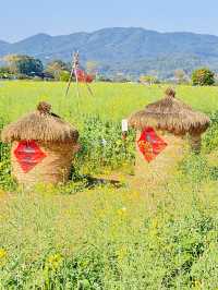 廣州｜稻田公園，油菜花拍照好去處！