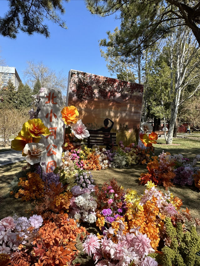 魅力花園節 約會春天裡