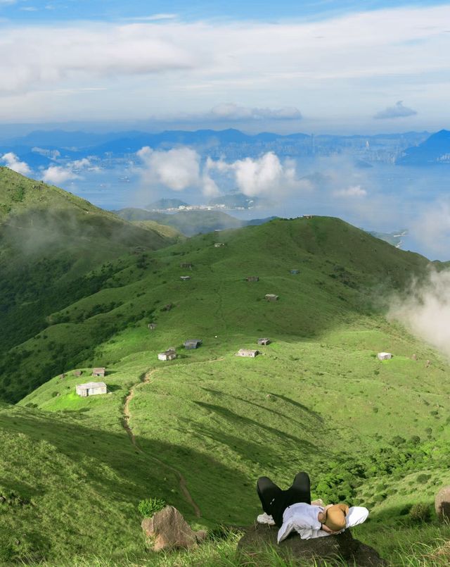 向雲端