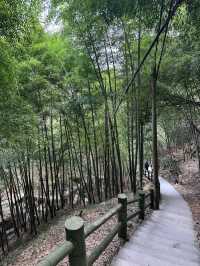 湖州臧龍百瀑｜寄情山水 探秘自然