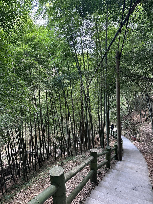 湖州臧龍百瀑｜寄情山水 探秘自然