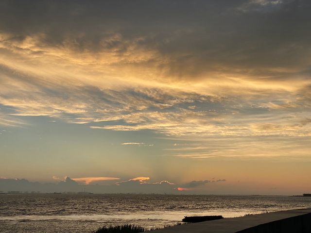 我在崇明島與雲海日落相遇種草避雷篇！