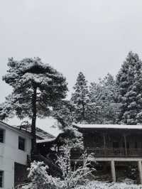 蒼山負雪，明燭天南