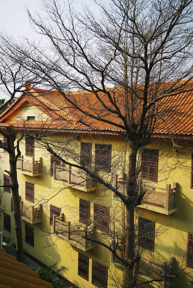 春和景明不僅是禪意遇見寧靜角落 廈門石室禪院