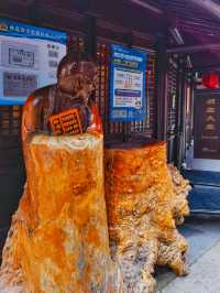 一鎮一島一酒店，巡塘書香，隱於古鎮，逸於書香
