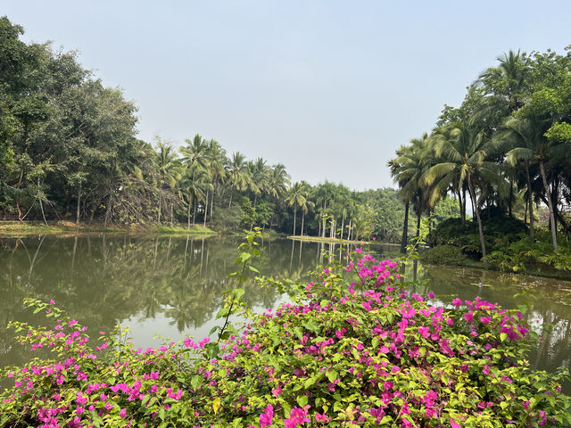 西雙版納熱帶花卉園