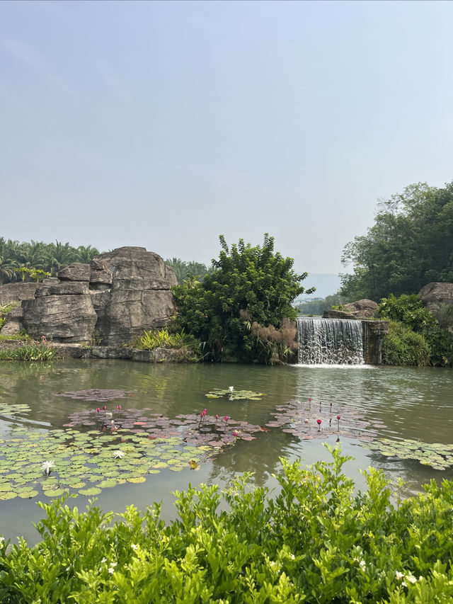 西雙版納熱帶花卉園