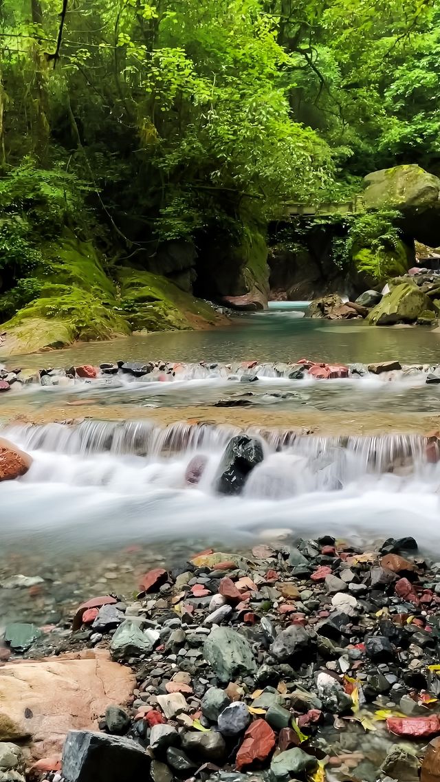 夏日徒步，選擇一條洗肺／涼爽／安全的路線很重要！