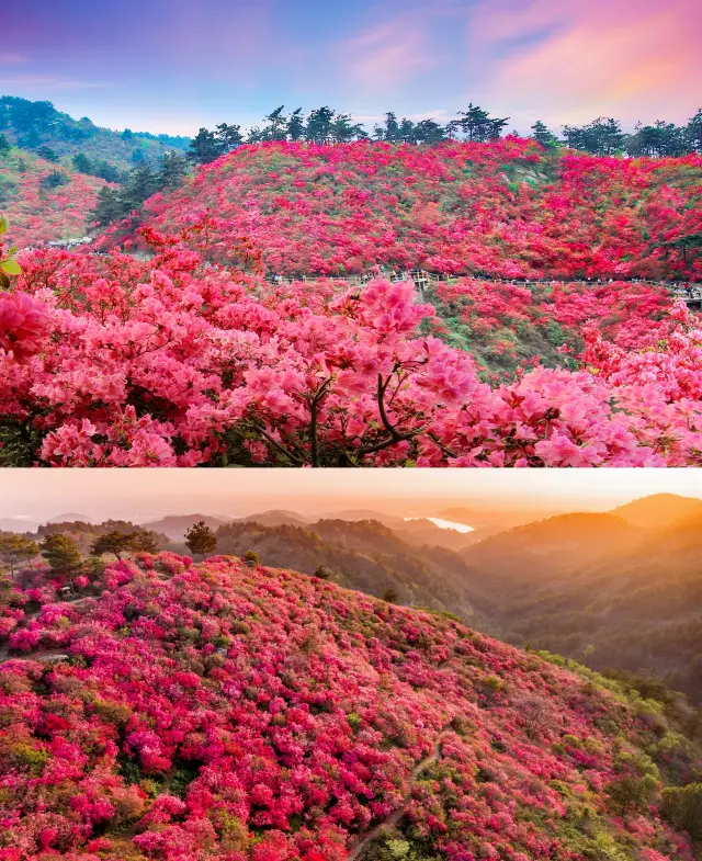 I found the most beautiful spring in Wuhan at the Mulan Yunwu Mountain