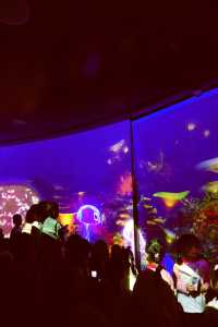 雲上海洋館·特別的存在